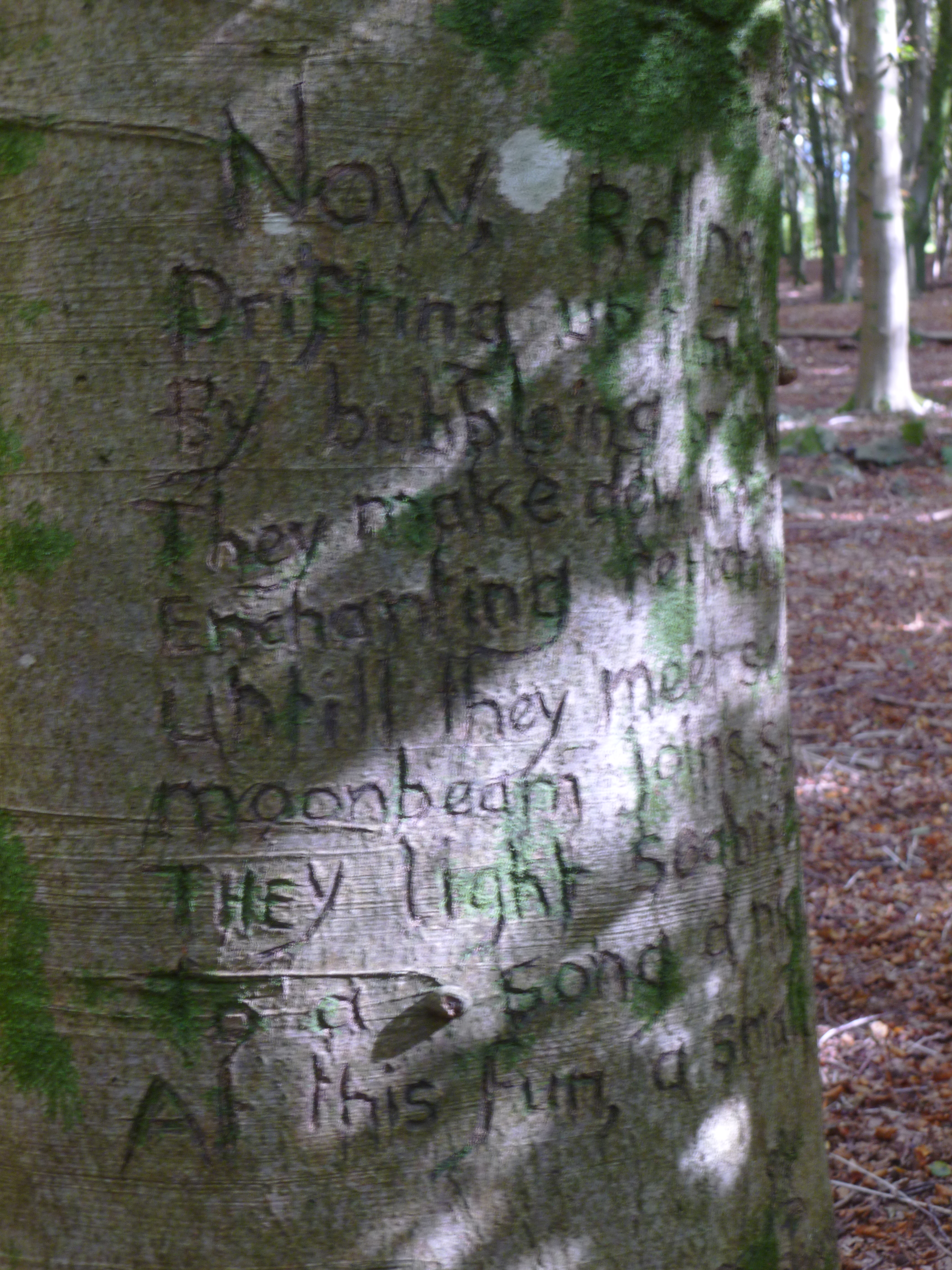 Poetry Tree